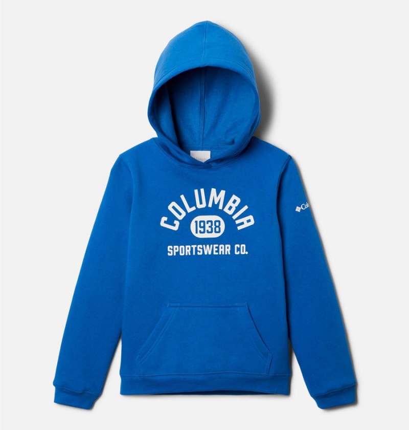 Columbia Trek Pullover Kids\' Hoodie Blue | XPABJL-059