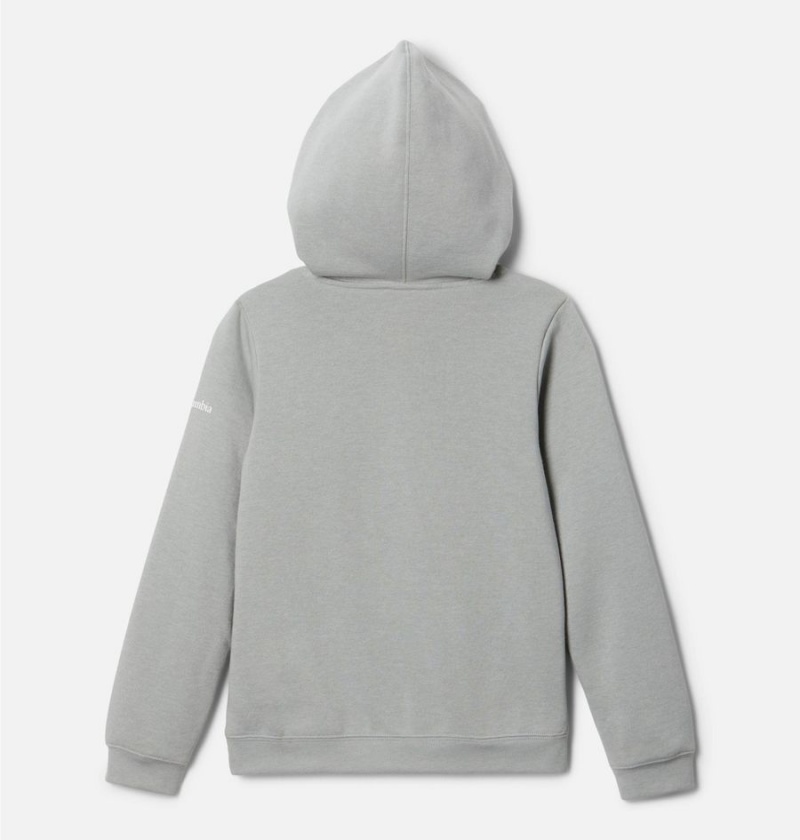 Columbia Trek Pullover Kids' Hoodie Grey | JXKETA-078