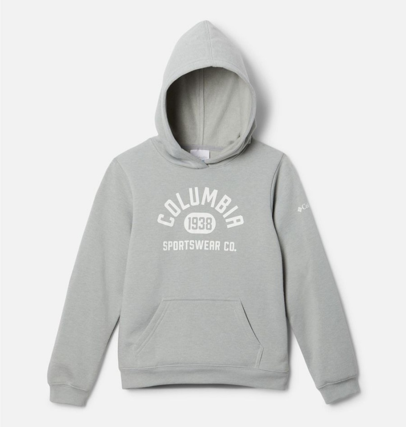 Columbia Trek Pullover Kids\' Hoodie Grey | JXKETA-078