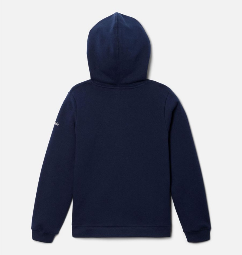 Columbia Trek Pullover Kids' Hoodie Navy | JVQPMF-237