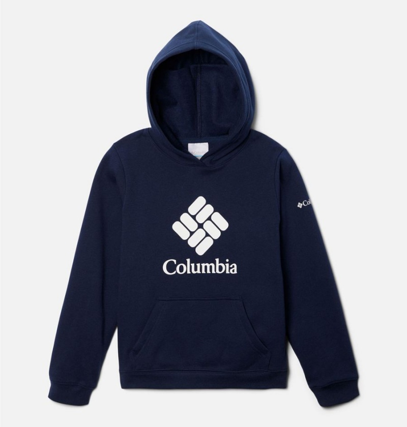 Columbia Trek Pullover Kids\' Hoodie Navy | JVQPMF-237