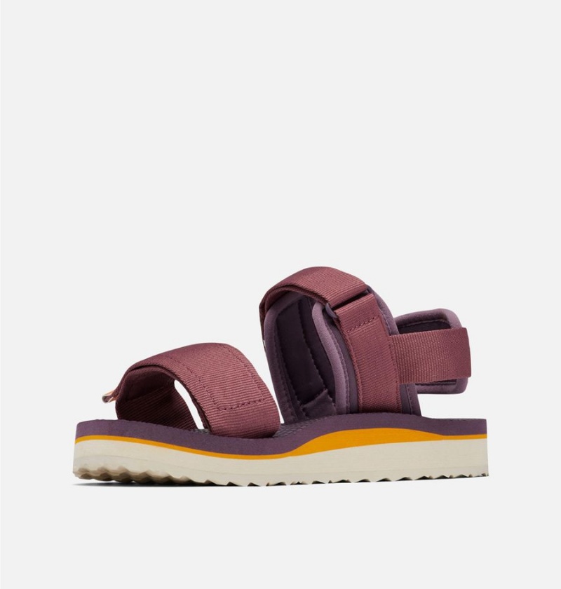 Columbia Via - Desert Nights Women's Sandals Purple | KXFRTP-068