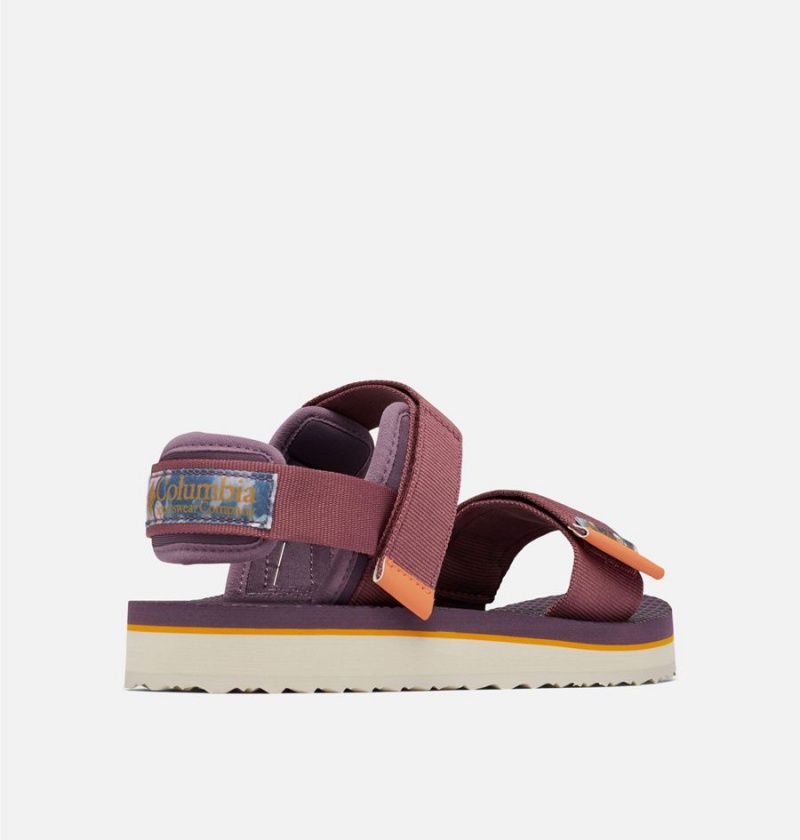 Columbia Via - Desert Nights Women's Sandals Purple | KXFRTP-068