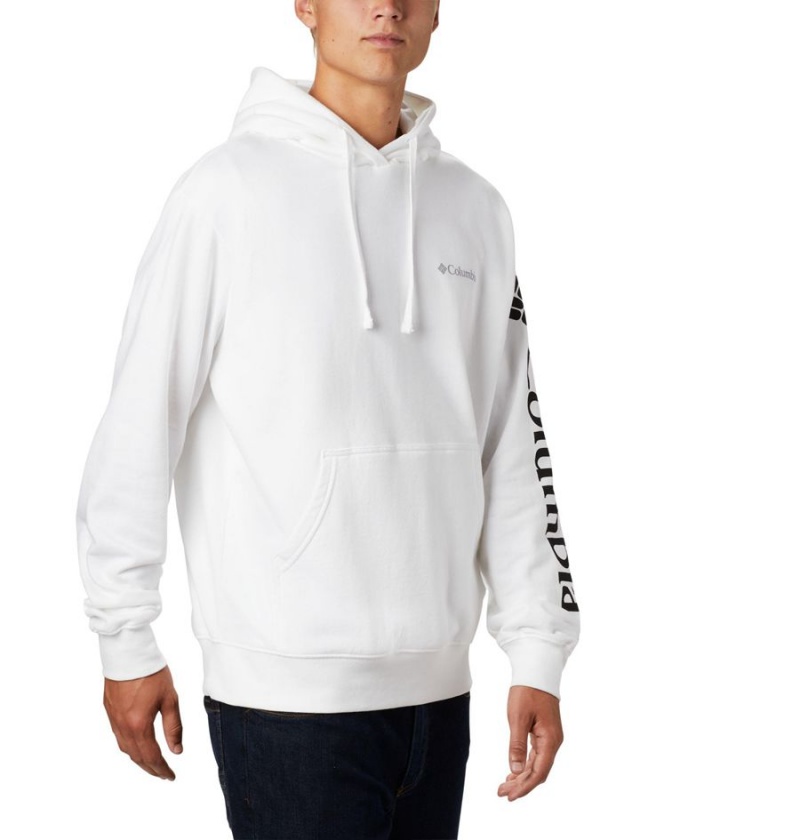 Columbia Viewmont II Sleeve Graphic Men's Hoodie White | ESHZLV-789
