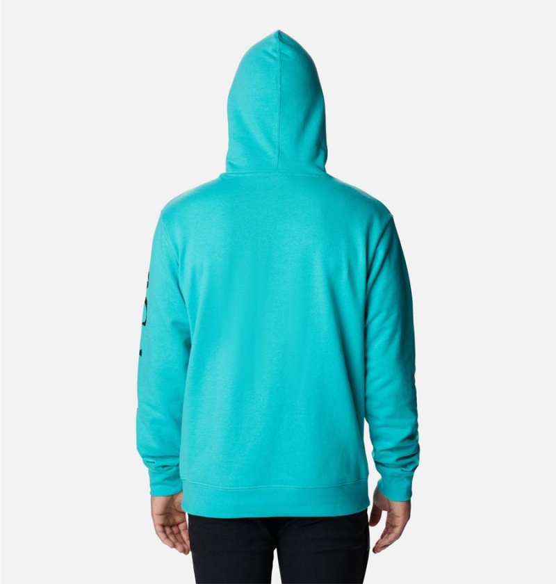 Columbia Viewmont II Sleeve Graphic Men's Hoodie Turquoise | DUHVCP-276