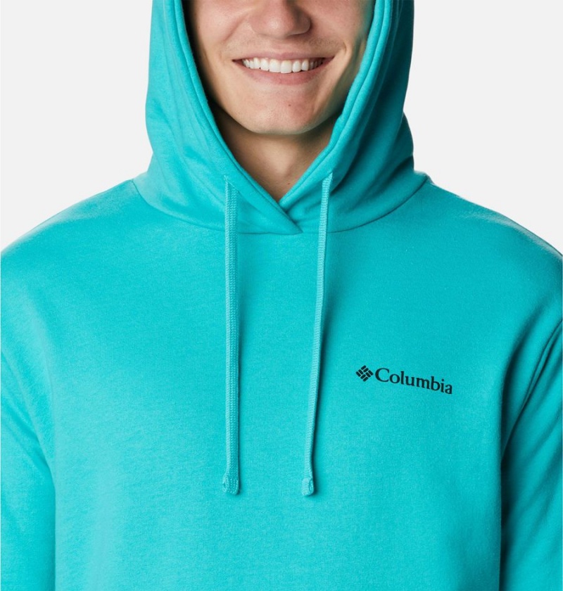 Columbia Viewmont II Sleeve Graphic Men's Hoodie Turquoise | DUHVCP-276