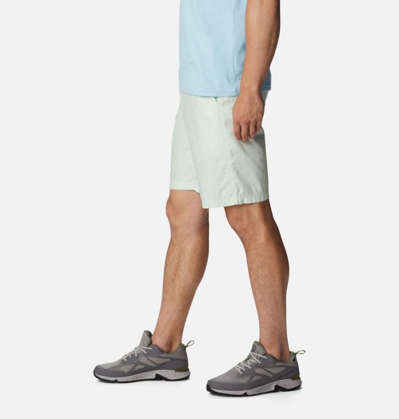 Columbia Washed Out Men's Shorts Green | LNQZTC-725