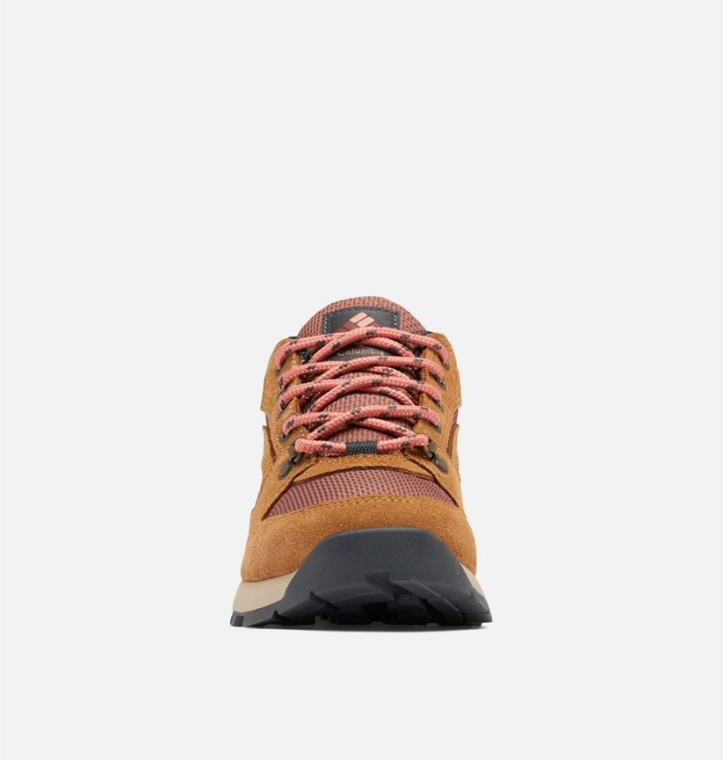 Columbia Wildone Navigate Women's Sneakers Brown | AFSJPI-872