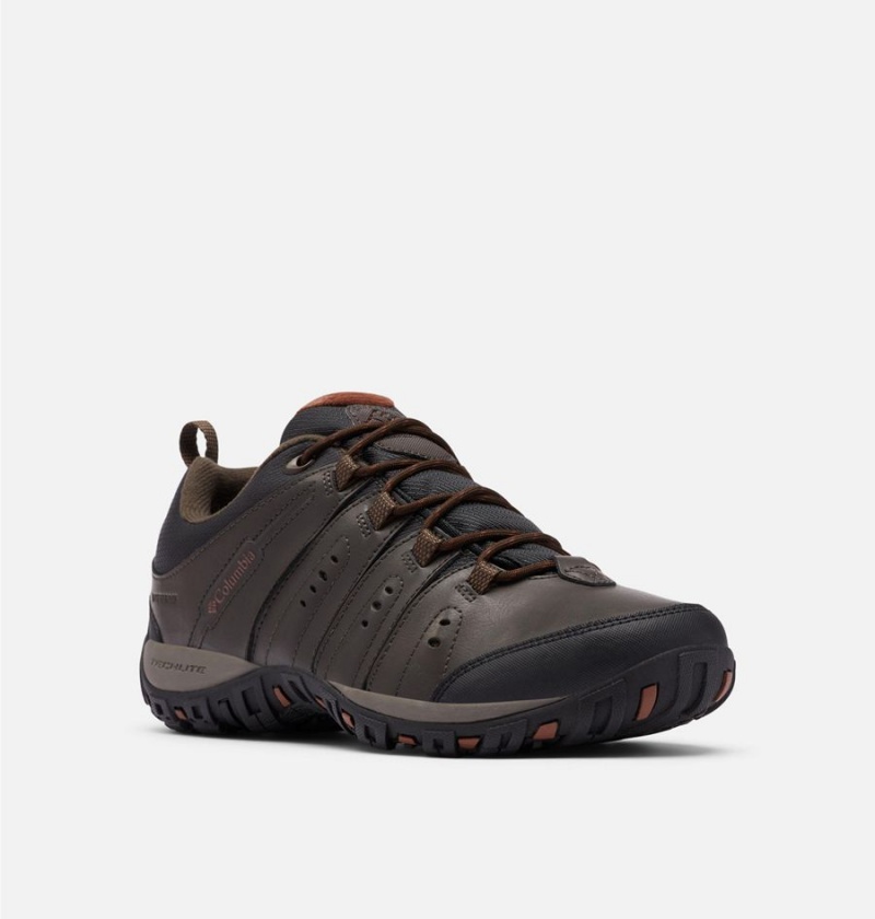 Columbia Woodburn II Waterproof Men's Hiking Shoes Brown | AUWENZ-537