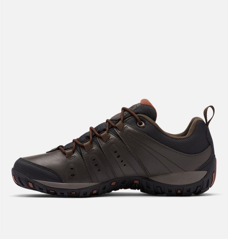 Columbia Woodburn II Waterproof Men's Hiking Shoes Brown | AUWENZ-537