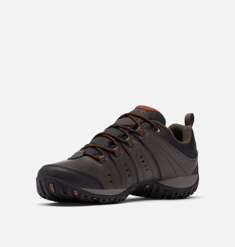 Columbia Woodburn II Waterproof Men's Hiking Shoes Brown | AUWENZ-537