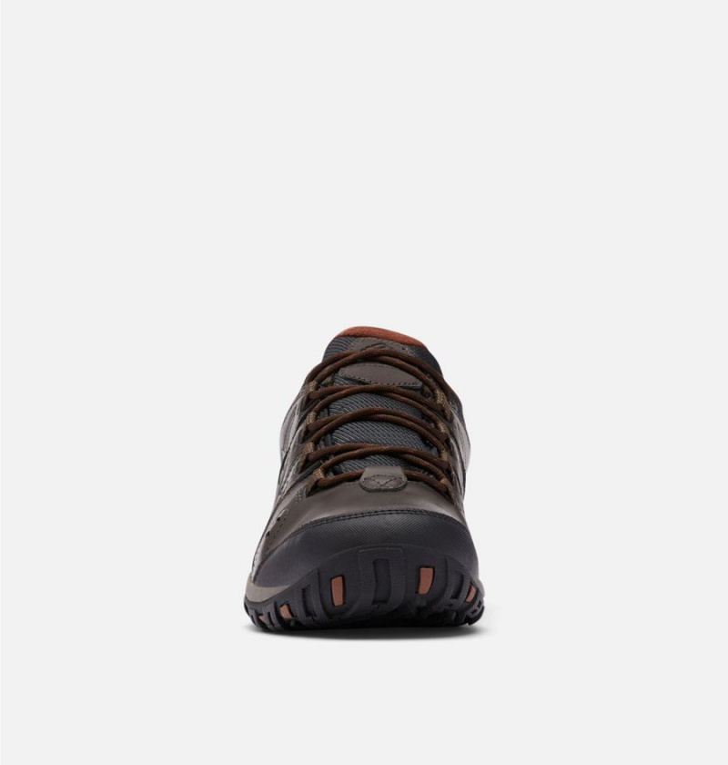 Columbia Woodburn II Waterproof Men's Hiking Shoes Brown | AUWENZ-537