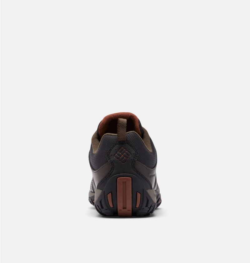 Columbia Woodburn II Waterproof Men's Hiking Shoes Brown | AUWENZ-537