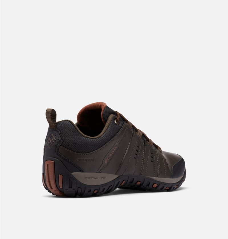 Columbia Woodburn II Waterproof Men's Hiking Shoes Brown | AUWENZ-537